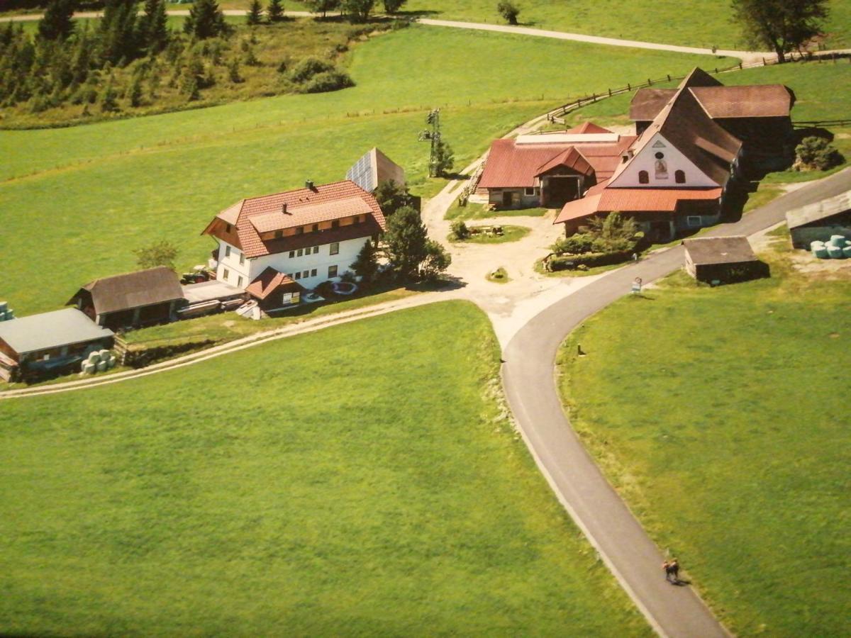 Erholung Am Bauernhof Bei Familie Seidl / Messner Zeutschach Exterior photo