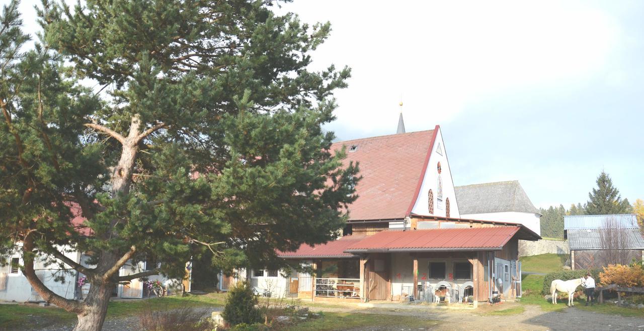 Erholung Am Bauernhof Bei Familie Seidl / Messner Zeutschach Exterior photo