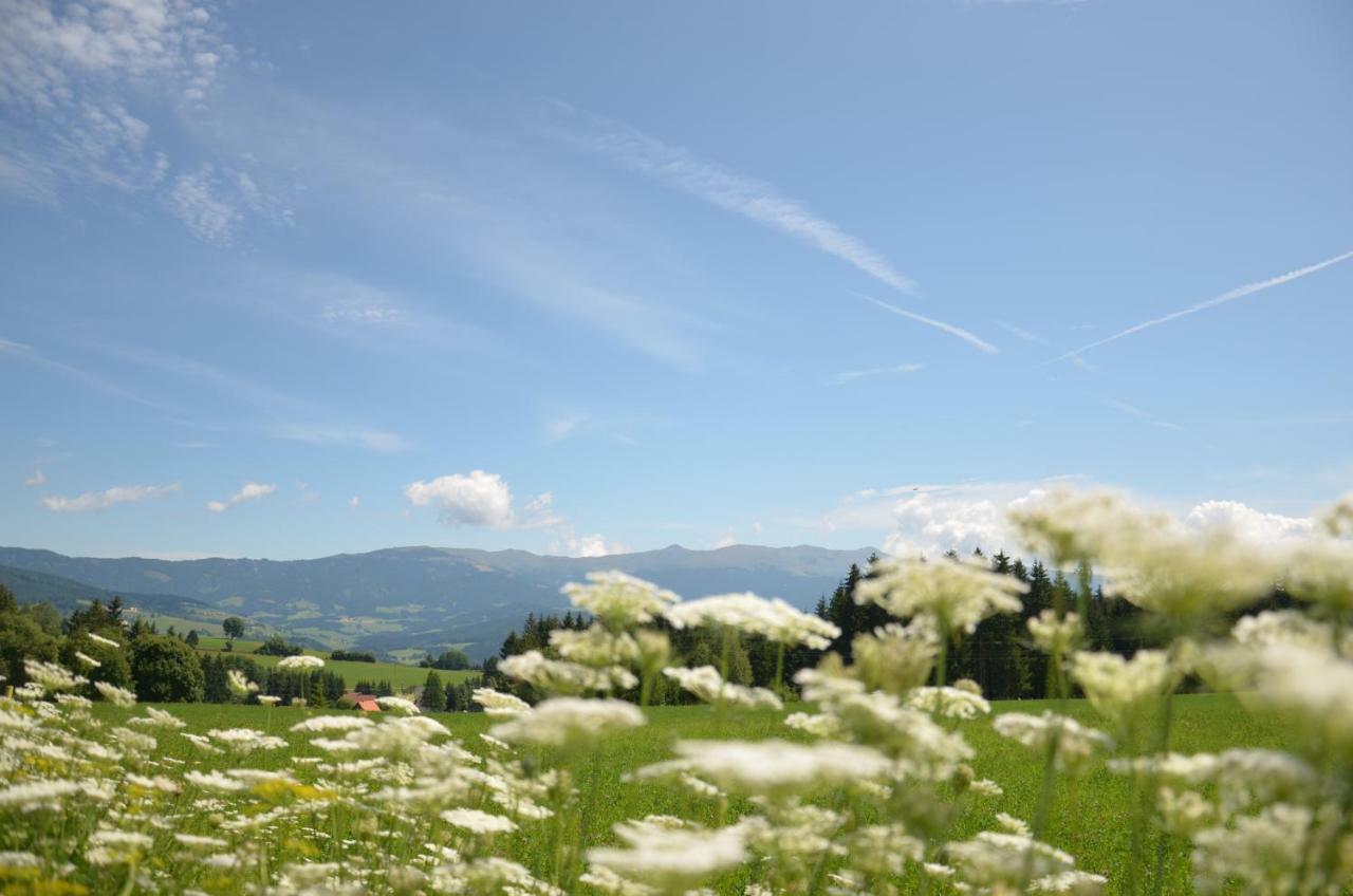 Erholung Am Bauernhof Bei Familie Seidl / Messner Zeutschach Exterior photo